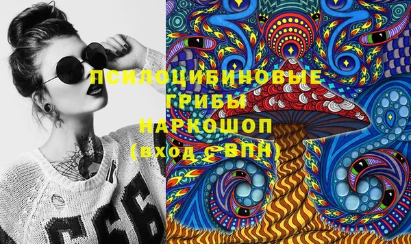 гидра Белоозёрский