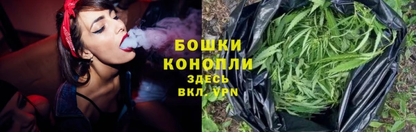 гидра Белоозёрский